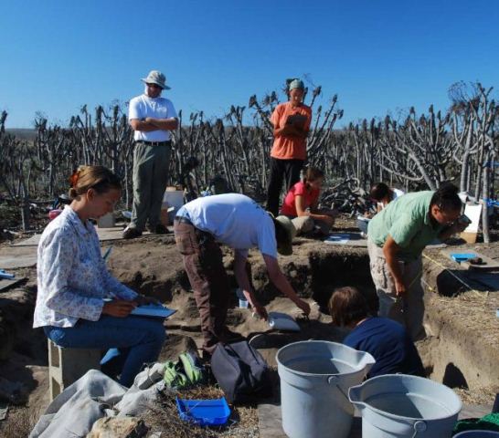archaeology dig site